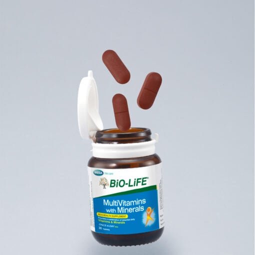 Multivitamins & Minerals | Daily Wellness Support
