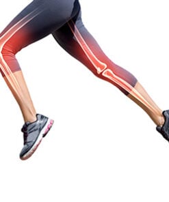 Joint & Bone Health