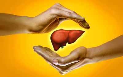 Tips for Maintaining a Healthy Liver: Nurture Your Tiny ‘Superhero’